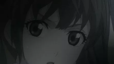 Private: Valkyria Chronicles 1x12