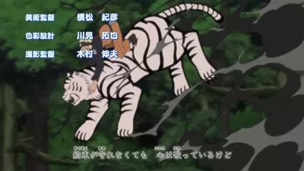 Naruto Shippuden 12x255