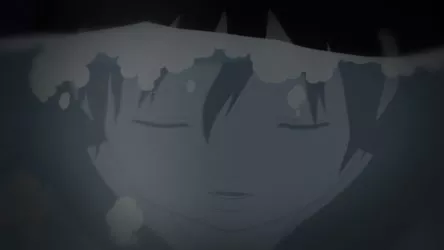 Naruto Shippuden 16x356